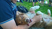 kuscheln mit Hundepappi
